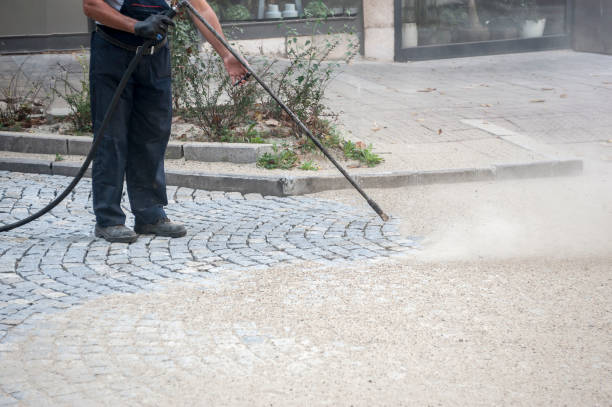 Best Animal Enclosure Cleaning  in Lindenhurst, NY